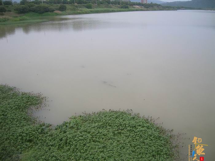忙里偷闲早晚钓，夜钓有惊喜 知足耶