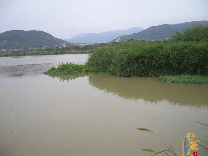 忙里偷闲早晚钓，夜钓有惊喜 知足耶