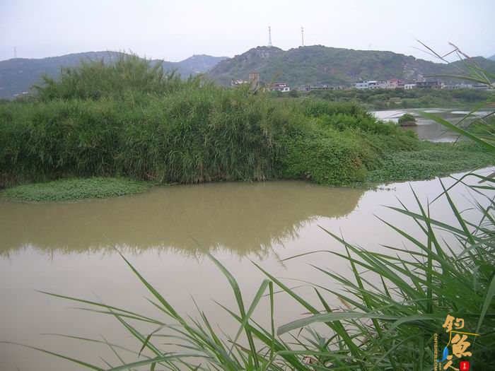 忙里偷闲早晚钓，夜钓有惊喜 知足耶