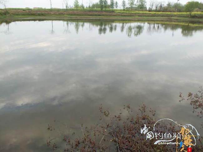乡村野钓之清水塘半下午