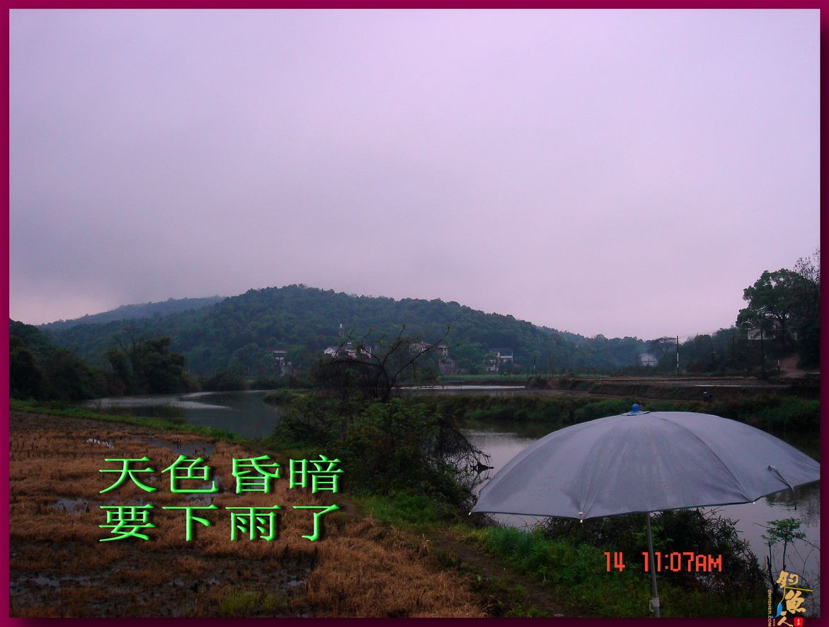 莲花野河 马口当家 文一