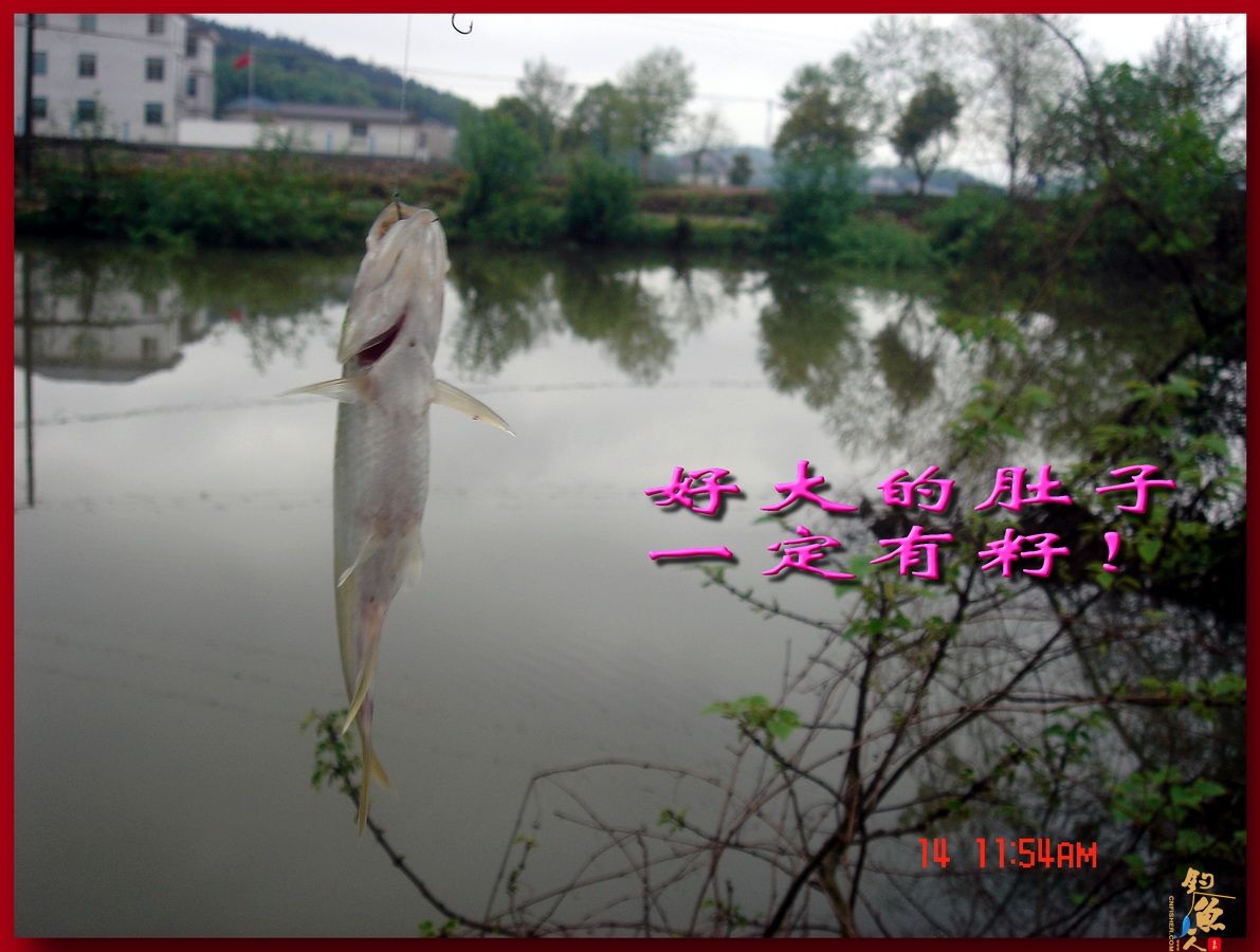 莲花野河 马口当家 文一