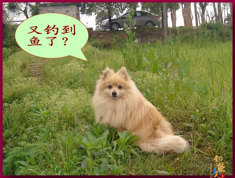 莲花野河 马口当家 文一