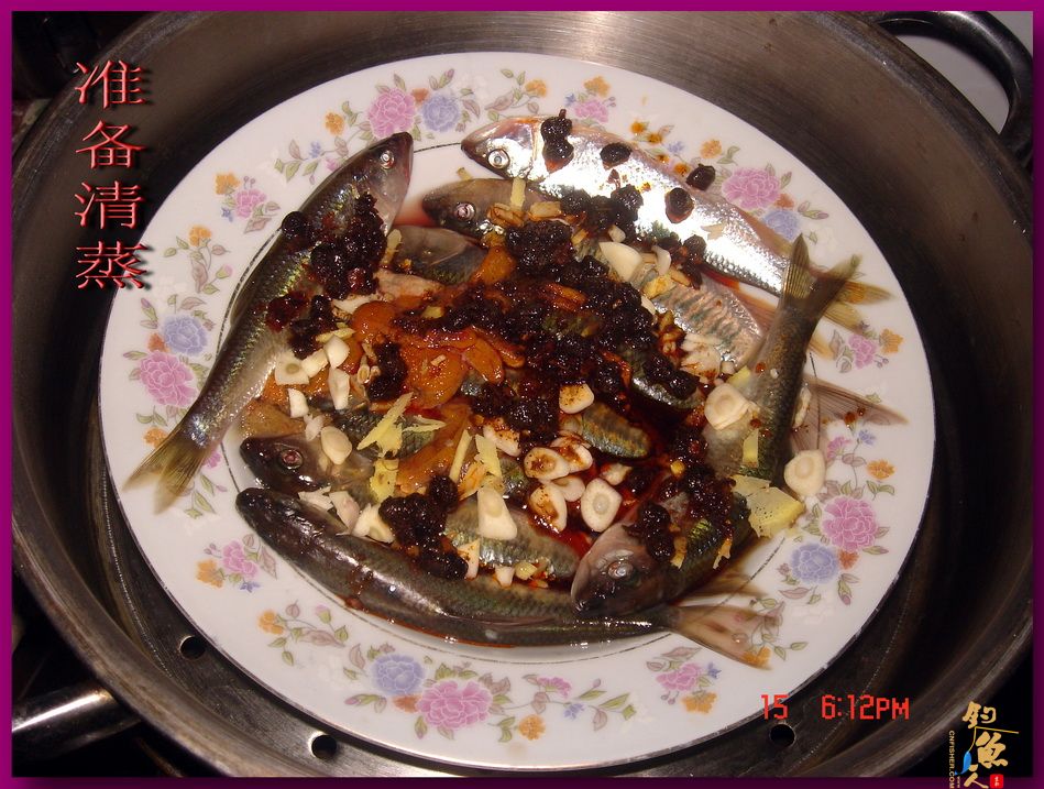 莲花野河 马口当家 文一