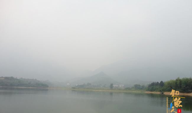 新轮开光，米级河珍失之交臂 猜猜它是谁？