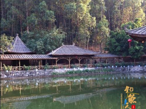 游钓岭南第一庄--渔民张游钓日记3