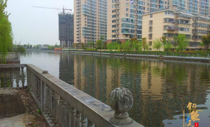 闲逛小区湖畔花园，兴起开竿