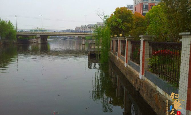 闲逛小区湖畔花园，兴起开竿