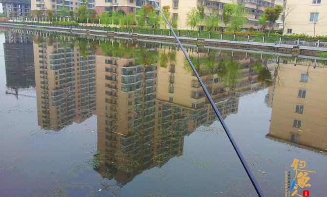 闲逛小区湖畔花园，兴起开竿