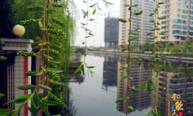 闲逛小区湖畔花园，兴起开竿