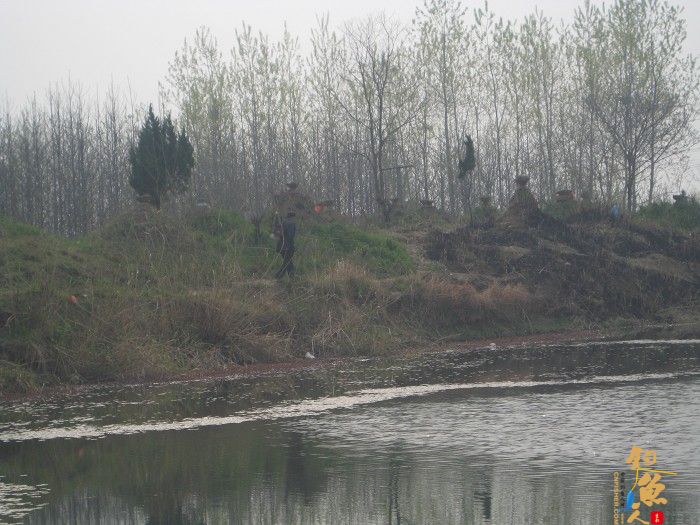 黄金鲫手到擒来 传统钓大显神威