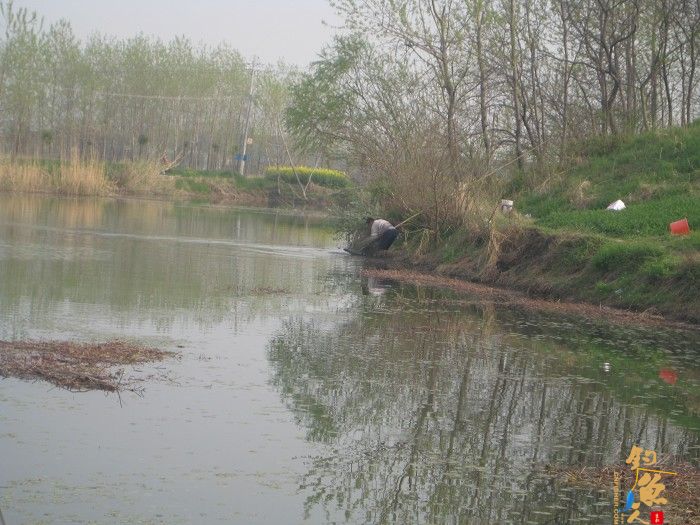 黄金鲫手到擒来 传统钓大显神威