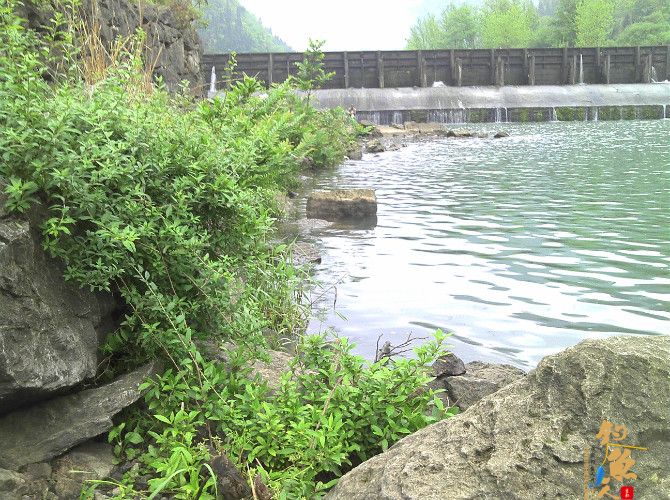 激情的清江河（13）喜获大鲫也不爽