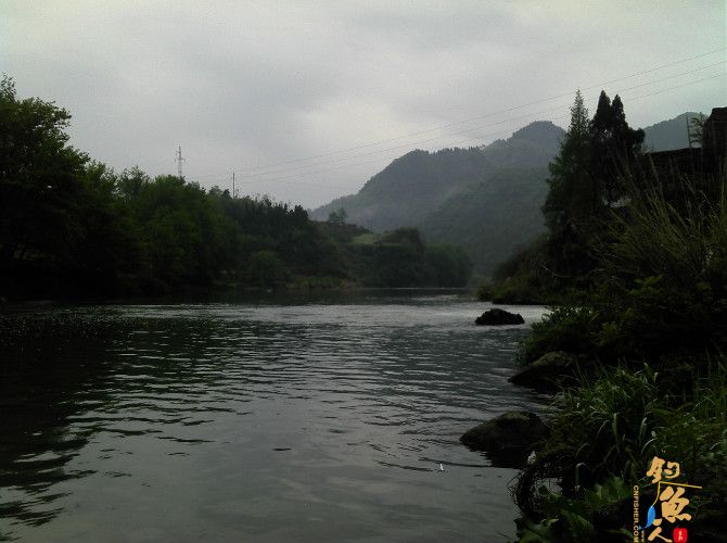 激情的清江河（13）喜获大鲫也不爽