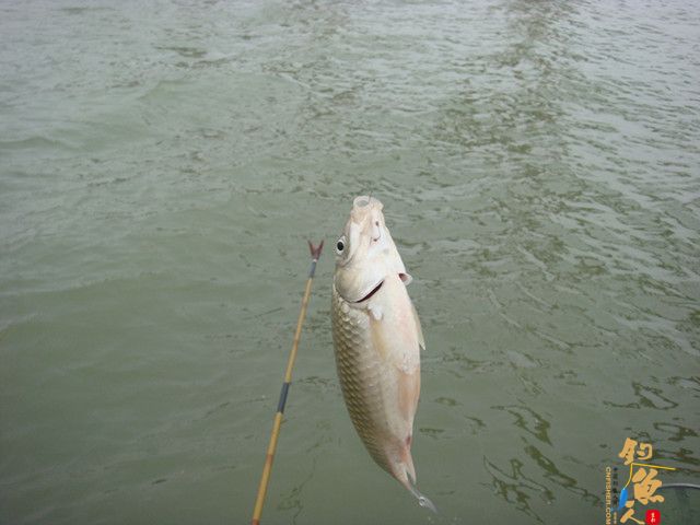 仕阳水库 在这钓鱼有点爽