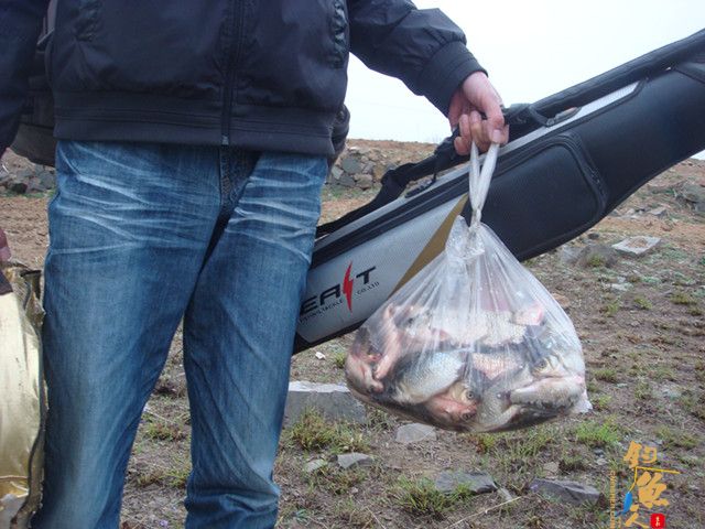 仕阳水库 在这钓鱼有点爽