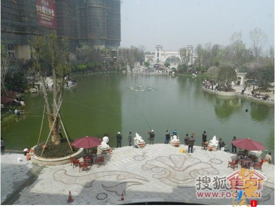 浓雾挡不住,恒大绿洲钓鱼节火热上演