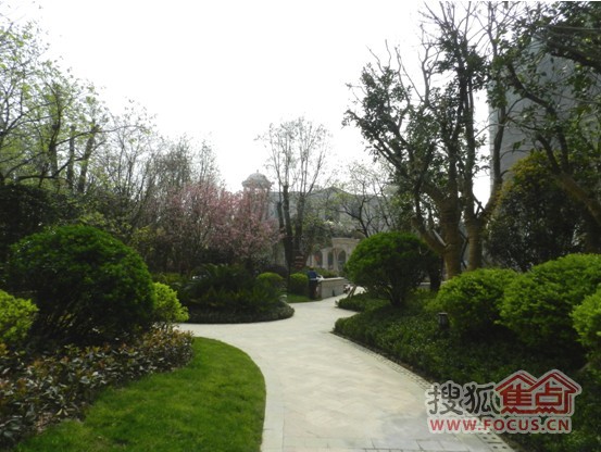 浓雾挡不住,恒大绿洲钓鱼节火热上演