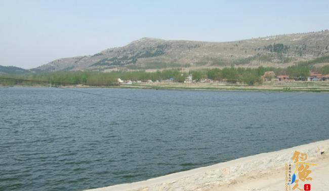 野钓篇五《鲤鱼开口》解毒