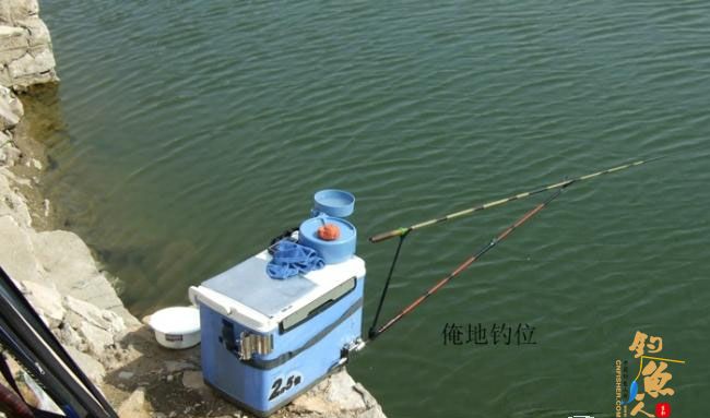 野钓篇五《鲤鱼开口》解毒