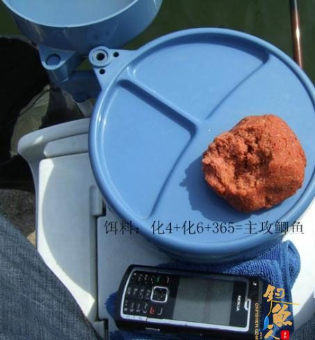 野钓篇五《鲤鱼开口》解毒