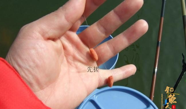 野钓篇五《鲤鱼开口》解毒