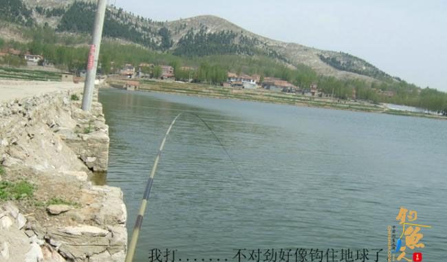 野钓篇五《鲤鱼开口》解毒