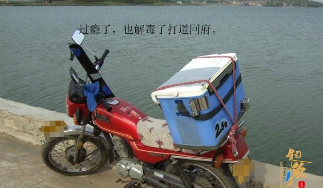 野钓篇五《鲤鱼开口》解毒