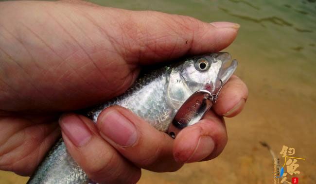 4月17,非常3+2 一个子 爽