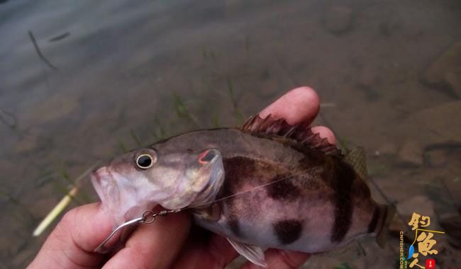 4月17,非常3+2 一个子 爽