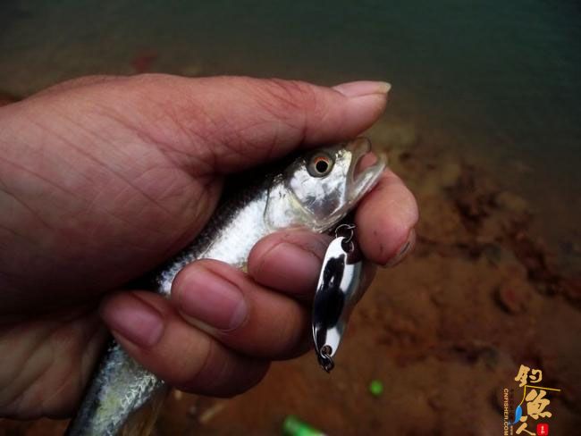 4月17,非常3+2 一个子 爽