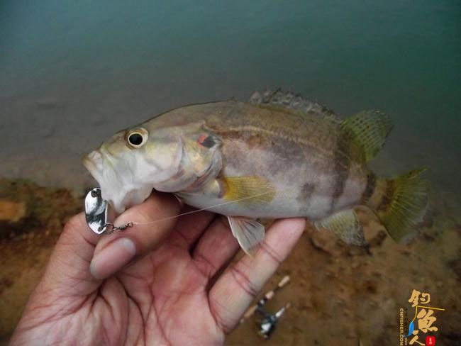 4月17,非常3+2 一个子 爽