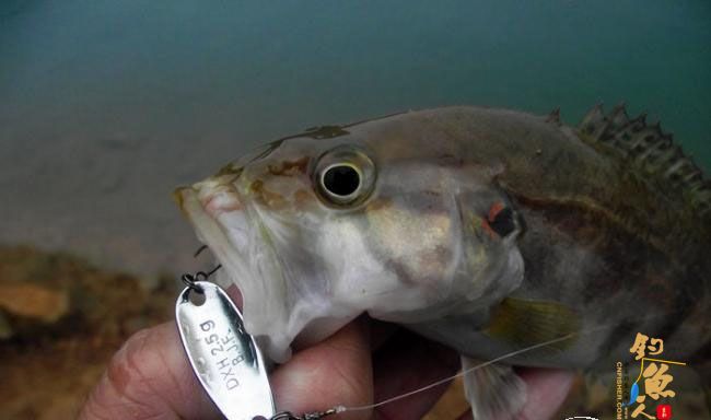 4月17,非常3+2 一个子 爽