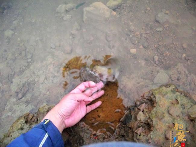 4月17,非常3+2 一个子 爽