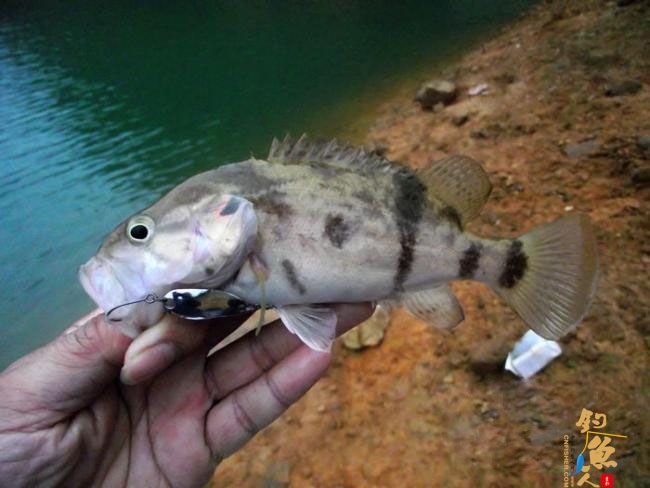 4月17,非常3+2 一个子 爽