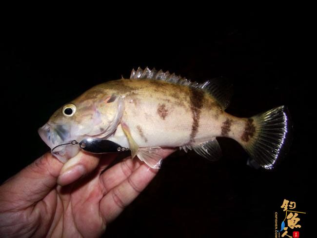 4月17,非常3+2 一个子 爽