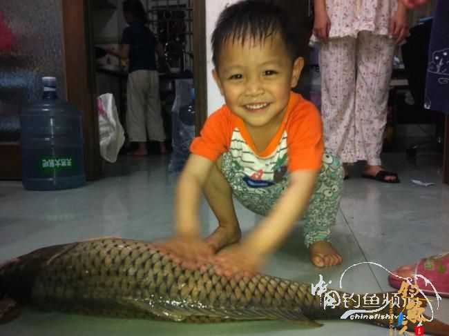 水下勇战大鲤鱼,应该叫水中勇士