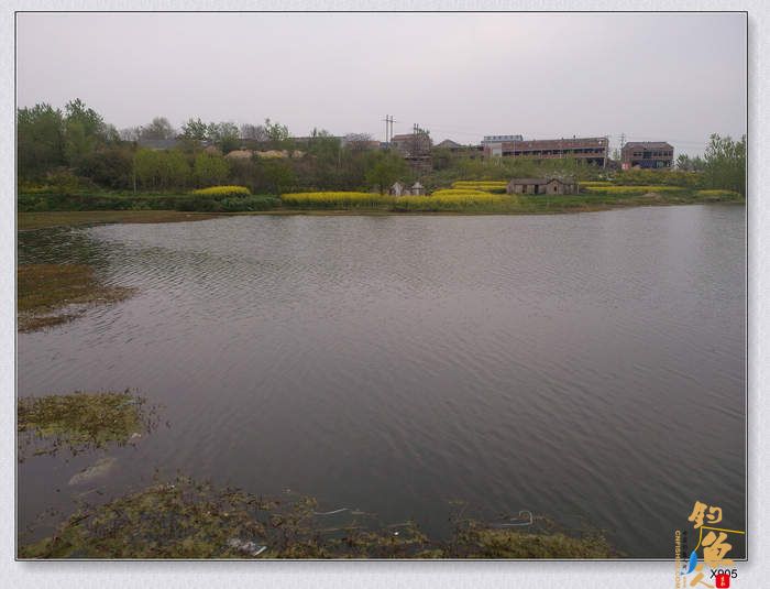 小钓半天得一鲫 较满足