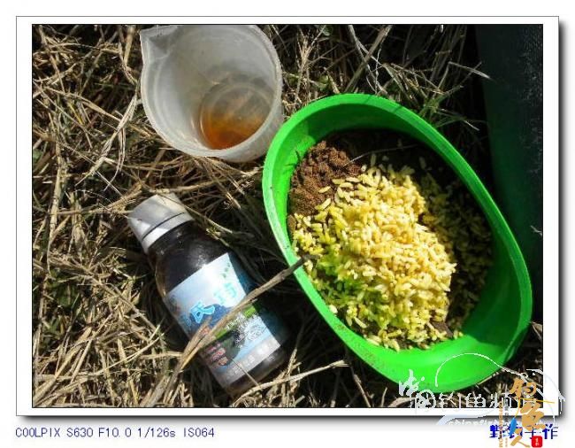 半天野渠小钓 图