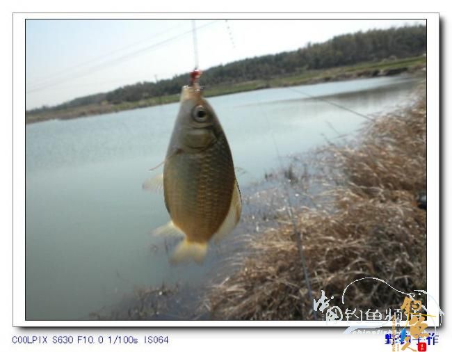 半天野渠小钓 图