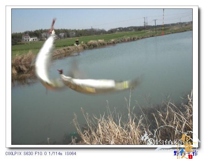 半天野渠小钓 图