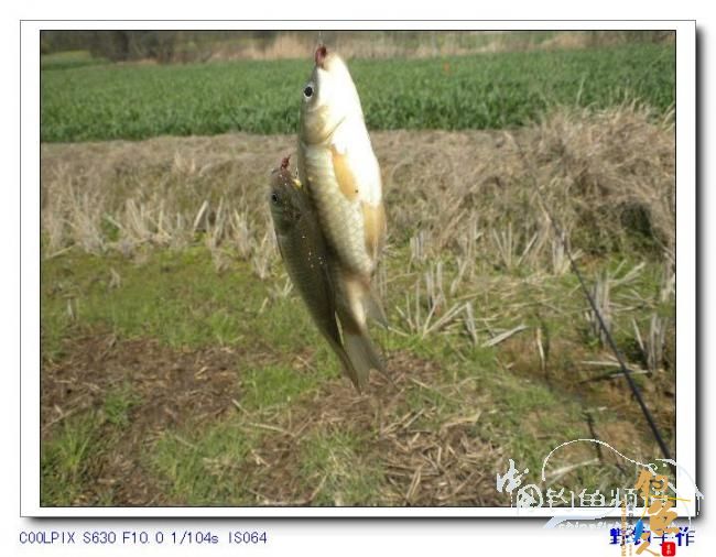 半天野渠小钓 图