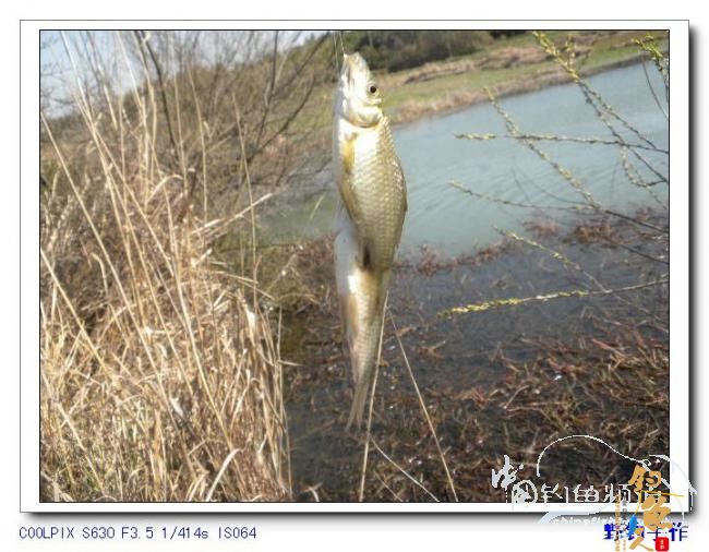 半天野渠小钓 图