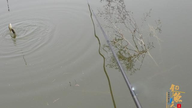 加入飞虎队之前的故事