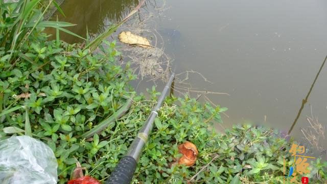 加入飞虎队之前的故事