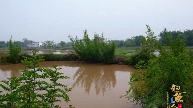 加入飞虎队之前的故事