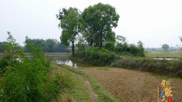 加入飞虎队之前的故事