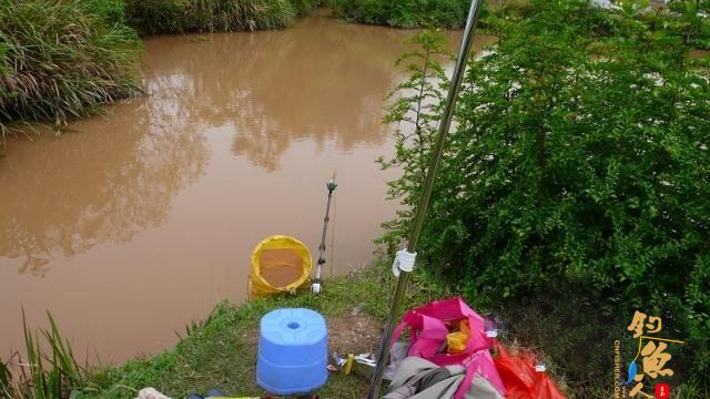 加入飞虎队之前的故事