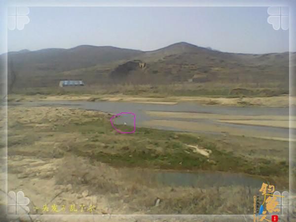 偷窥野河 算是空军吗?