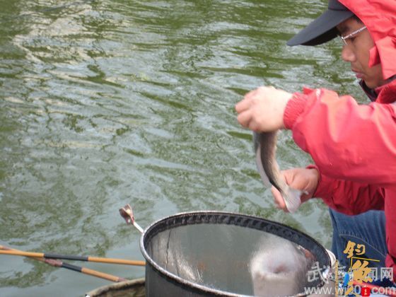 2012常州武进区“常成杯”钓鱼比赛